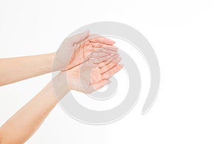 Female hand two palm up. handbreadth isolated on a white background. Front view. Mock up. Copy space. Template. Blank.