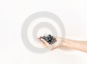 Female hand of uncertain young woman holding fresh ripe blueberry
