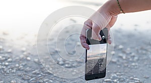 Female hand use smartphone for taking photo with the Salp jelly balls on the beach that showed the abundant natural of the sea