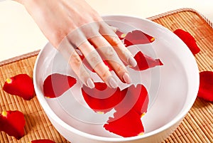 Female hand in white bowl with water and red rose peta