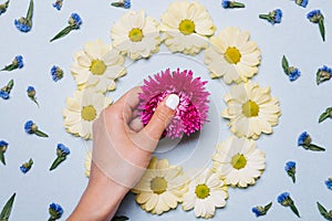 Female hand with white manicure puts purple and yellow flowers o