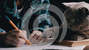 Female Hand Writes with a Pen in a Notepad along with a Playing Cat on Table