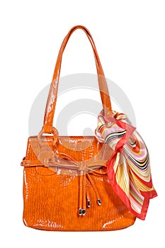 Female handbag