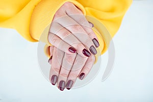 Female hands with beautiful dark purple manicure and wearing yellow sweater.
