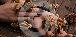 Female hands with beautiful dry flowers, close-up.