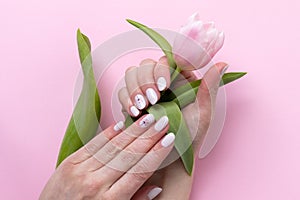 Female hands with beautiful manicure - white ivory oval nails with tulip flower on pink paper background, closeup