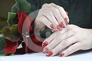 female hands with a beautiful red festive manicure design hold a mini poinsettia