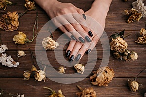 Female hands with black manicure among dry plants.