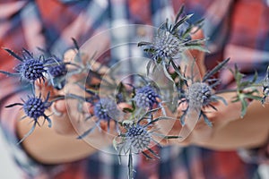 Female hands with blue flower eryngium