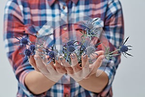 Female hands with blue flower eryngium