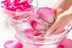 Female hands and bowl of spa water with pink roses and  petals
