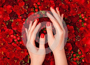 Female hands with bright red manicure on a background of luxurious floral background