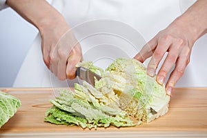 Female hands chopping savoy cabbage