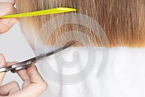 Female hands cut girls hair with scissors, haircut