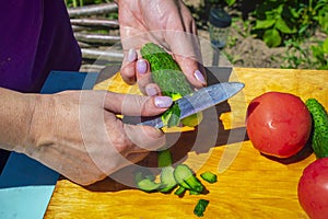 Female hands cut into slices fresh cucumber. A fresh tomatoes, sliced cucumbers. Healthy ingredient for salad