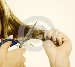 Female hands cutting hair with scissors