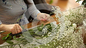 Female hands cutting shears white flowers