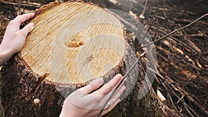 Female hands embracing a stump of felled tree