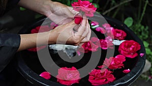 Female hands and flower petals in a water bowl. Full hd footage.