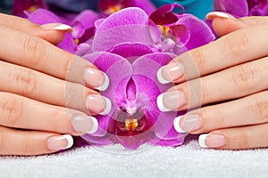 Female hands with french manicure