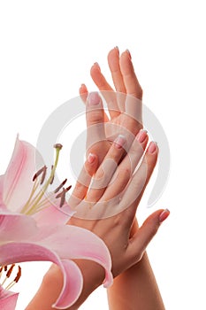 Female hands with French manicure and lily flowers isolated on white background