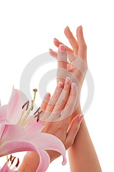 Female hands with French manicure and lily flowers isolated on white background