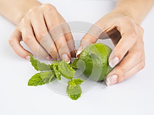 Female Hands with French Manicure on Nails Holding a Fresh Summer Limet and Mint Leaves. Summer Freshness concept