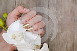 Female hands with gold nail design holding white orchid