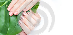 Female hands with gold and pink nail design hold tropic leaf on white background. Nails design background