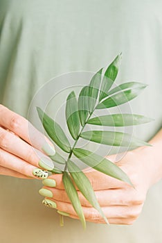 Female hands with green manicure holding palm leaf. photo