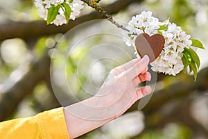 Female hands heart shape on nature green bokeh sun light flare and blur leaf abstract background. Happy love and freedom concept.