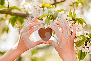 Female hands heart shape on nature green bokeh sun light flare and blur leaf abstract background. Happy love and freedom concept.