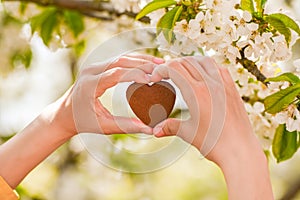 Female hands heart shape on nature green bokeh sun light flare and blur leaf abstract background. Happy love and freedom concept.