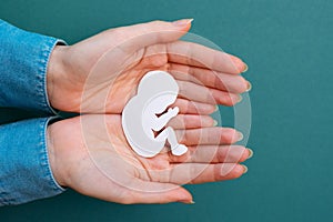 Female hands hold a paper-cut silhouette of a fetus. Green background. Flay lay. Close up. Concept of artificial insemination and photo