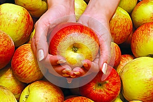 Female Hands Holding Apple