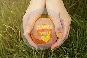 Female hands holding apple with I love you print