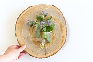 Female hands are holding a beautiful spring bouquet, Pulmonaria officinalis, common names lungwort, common lungwort