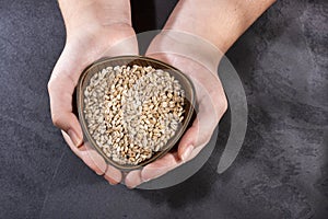 Female hands holding bowl with pearl barley - Hordeum vulgare