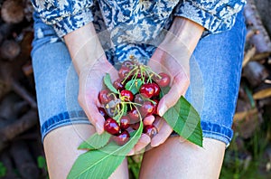 Female hands holding cherries