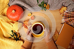 Female hands holding a cup of hot tea or coffee, autumn flat in the Scandinavian hugg style, with yellow leaves, cozy knitwear,