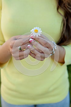 Female hands holding a daisy