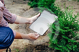 Female hands holding a digital tablet pc in her garden. Growth trees using modern technology concept