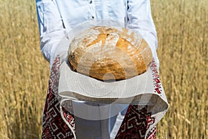 Female hands holding home baked bread loaf on ukrainian rushnyk in a ripe wheat field
