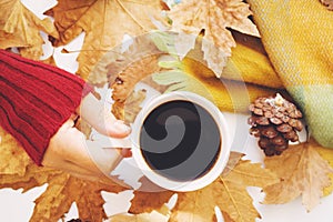 Female hands holding hot dark coffee, blanket and autumn leaves on white background.