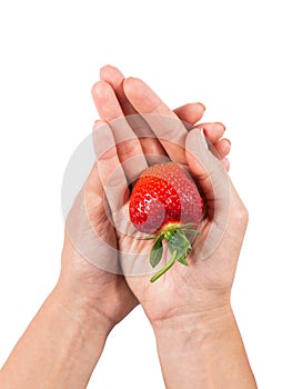 Female hands holding juicy ripe strawberry isolated on white background