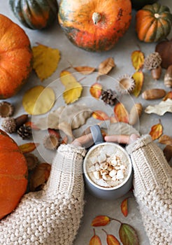 Female hands holding a mug of hot chocolate with marshmallow against autumn background