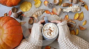 Female hands holding a mug of hot chocolate with marshmallow against autumn background