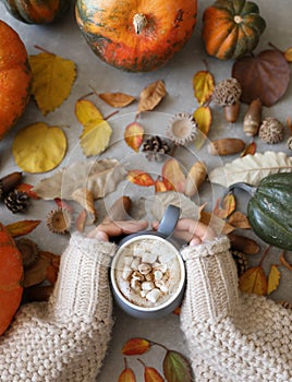 Female hands holding a mug of hot chocolate with marshmallow against autumn background