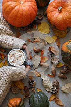 Female hands holding a mug of hot chocolate with marshmallow against autumn background