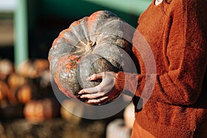 Female hands holding orange pumpkin on background of farmers market in brown sweater. Cozy autumn vibes Halloween party,